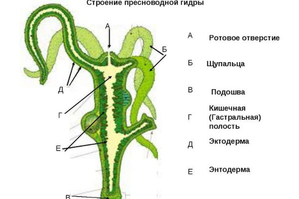 Kraken ссылка tg