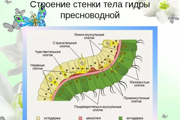 Не приходят деньги на кракен