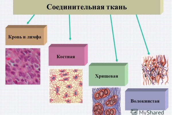 Кракен ат сайт